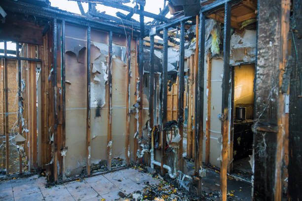 Professional Fire Damage Removal technician working in Blue Mountain, MS